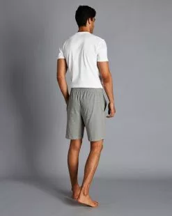 CHARLES TYRWHITT Cotton Jersey Shorts - Silver Grey -Charles Tyrwhitt Shop ACN0054GRY MODEL FULL BACK