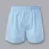 CHARLES TYRWHITT Fine Stripe With Dot Woven Boxers - Sky 2 CHARLES TYRWHITT Fine Stripe With Dot Woven Boxers - Sky -Charles Tyrwhitt Shop ACU0202SKY MAIN
