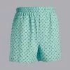 CHARLES TYRWHITT A Little Bird Told Me Motif Woven Boxers - Aqua Green