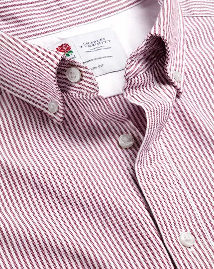 CHARLES TYRWHITT England Rugby Button-Down Collar Washed Oxford Stripe Shirt - Wine R 3 CHARLES TYRWHITT England Rugby Button-Down Collar Washed Oxford Stripe Shirt - Wine R
