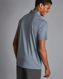 CHARLES TYRWHITT Smart Jersey Polo - Steel B -Charles Tyrwhitt Shop JEP0317DEN MODEL BACK