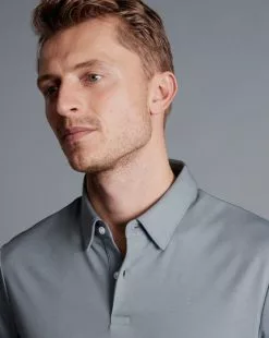 CHARLES TYRWHITT Smart Jersey Polo - Silv -Charles Tyrwhitt Shop JEP0398SLV MODEL DETAIL