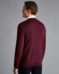 CHARLES TYRWHITT Merino V-Neck Sweater - Burgundy -Charles Tyrwhitt Shop KNJ0066BGD MODEL BACK
