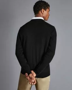 CHARLES TYRWHITT Merino V-Neck Sweater - Black -Charles Tyrwhitt Shop KNJ0066BLK MODEL BACK