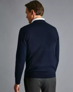 CHARLES TYRWHITT Merino V-Neck Sweater - Navy -Charles Tyrwhitt Shop KNJ0066NAV MODEL BACK
