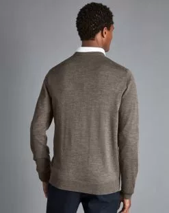 CHARLES TYRWHITT Merino V-Neck Sweater - Moch -Charles Tyrwhitt Shop KNJ0318MCA MODEL BACK