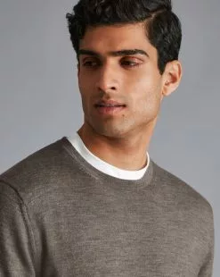 CHARLES TYRWHITT Merino Crew Neck Sweater - Moch -Charles Tyrwhitt Shop KNJ0347MCA MODEL DETAIL