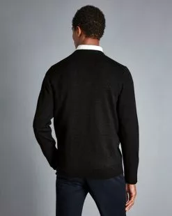 CHARLES TYRWHITT Merino V-Neck Sweater - Dark Ch -Charles Tyrwhitt Shop KNJ0358DCH MODEL BACK