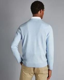 CHARLES TYRWHITT Merino V-Neck Sweater - Light B -Charles Tyrwhitt Shop KNJ0358SKY MODEL BACK