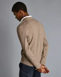 CHARLES TYRWHITT Merino V-Neck Sweater - Oatm 13 CHARLES TYRWHITT Merino V-Neck Sweater - Oatm -Charles Tyrwhitt Shop KNJ0400CAM MODEL BACK