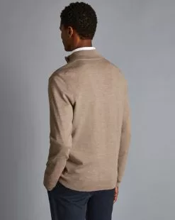 CHARLES TYRWHITT Merino Zip Neck Sweater - Oatm -Charles Tyrwhitt Shop KNJ0403CAM MODEL BACK