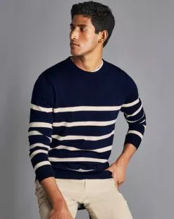 CHARLES TYRWHITT Merino Crew Neck Striped Sweater - Navy & Ston -Charles Tyrwhitt Shop KNJ0430MNV MODEL SEATED