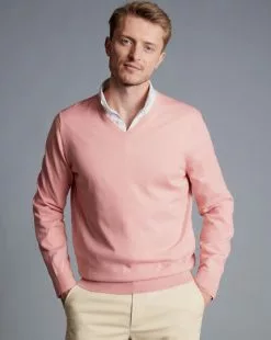 CHARLES TYRWHITT Pure Merino V-Neck Sweater - Light C -Charles Tyrwhitt Shop KNJ0437LCP MODEL FRONT