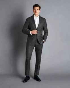 CHARLES TYRWHITT Italian Flannel Suit Pants - Grey 7 CHARLES TYRWHITT Italian Flannel Suit Pants - Grey -Charles Tyrwhitt Shop SUL0342GRY MODEL FRONT