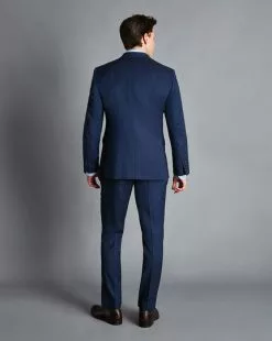 CHARLES TYRWHITT Birdseye Ultimate Performance Suit - Indigo B -Charles Tyrwhitt Shop SUT0247IDG MODEL BACK