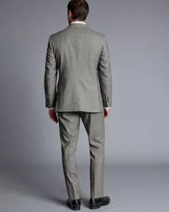 CHARLES TYRWHITT Sharkskin Suit - Light Grey -Charles Tyrwhitt Shop SUT0274LGY MODEL BACK