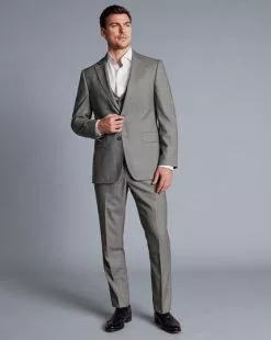 CHARLES TYRWHITT Sharkskin Suit - Light Grey -Charles Tyrwhitt Shop SUT0276LGY MODEL FULL