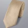 CHARLES TYRWHITT Stain Resistant Slim Silk Tie - Ston -Charles Tyrwhitt Shop TIC2029STN ROLLED