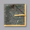 CHARLES TYRWHITT Floral Paisley Silk Pocket Square - Sage Green & Yellow -Charles Tyrwhitt Shop TIP0279SGE MAIN