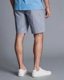 CHARLES TYRWHITT Stripe Shorts - Royal B 10 CHARLES TYRWHITT Stripe Shorts - Royal B -Charles Tyrwhitt Shop TRH0044RYL MODEL BACK